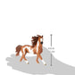 Pinto Stallion, Model: 13794