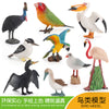 Simulated Real Wild Animal Bird Model, Diamond Parrot, Flamingo, Bird, Bird, 9-Piece Figure Set