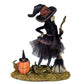 Witch in Training | Halloween Decor | Katherine's Collection