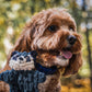 Woodland HuggleFlatties™ Assorted Durable Plush Dog Toys (3pk)