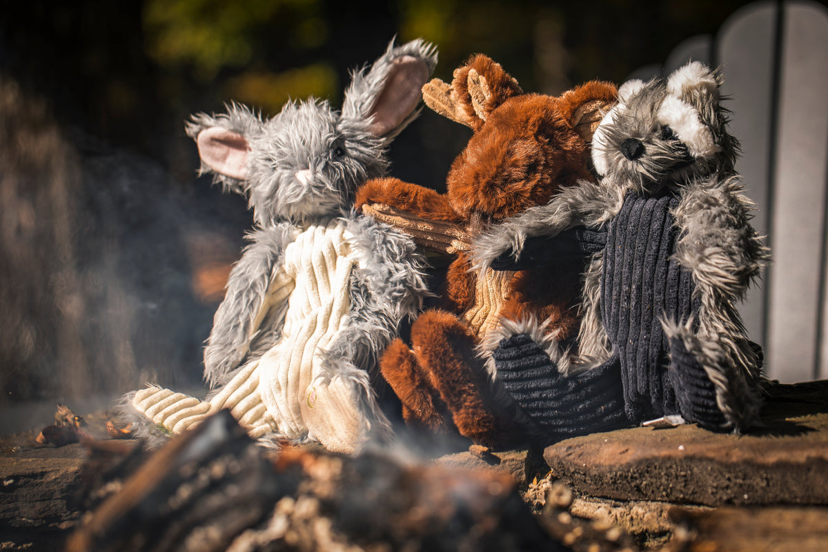 Birch Bunny X-Brace® Plush Dog Toy