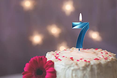 2.76 inch Blue 7 Birthday Candles,3D Number 7th Cake Topper for Birthday Decorations Number 17 27 71 72 73 74 75 76 77 78 79