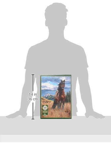 Cobblehill 80109 1000 Pc Freedom Puzzle, Various