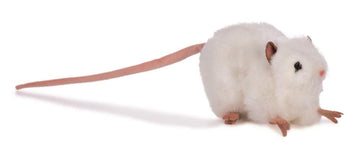 Hansa Mouse Plush Animal Toy, 5', White