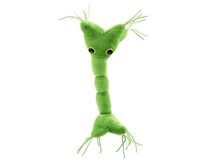 GIANT MICROBES Nerve Cell Plush Toy - Red Neuron Model - Soft Plush Material