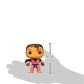 Funko Street Fighter Dan Pop Games Figure