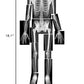 Roylco True to Life Human X-Rays, Multi-Color, 10 x 8 Size, Model R-5911, Educational Material