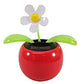 Navillus Solar Powered Dancing Flower, Lily, Rose, Sunflower, Petunia Office Desk & Car Decor (White Daisy Red Pot)