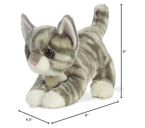 Aurora - Miyoni - 9 Grey Tabby Kitten