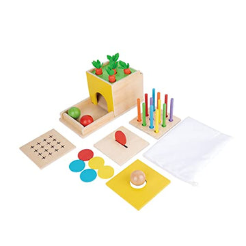 Adena Montessori 5-in-1 Wooden Play Kit - Object Permanence Box, Color Drop, Cotton Swab Game, Carrot Harvest, Coin Box for Kids 1 Year Old, Multicolor