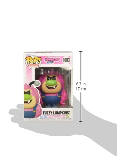 Funko Pop Animation: Powerpuff Girls - Fuzzy Lumpkins, Multicolor