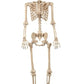 Crazy Bonez Talking Pose-N-Stay Skeleton