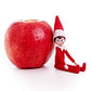 World'S Smallest The Elf On The Shelf A Christmas Tradition - Boy Scout Elf With Blue Eyes, 4 Inch