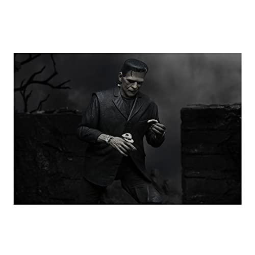 Neca Universal Monsters 7-Inch Ultimate Frankenstein Monster Action Figure (Black/White)