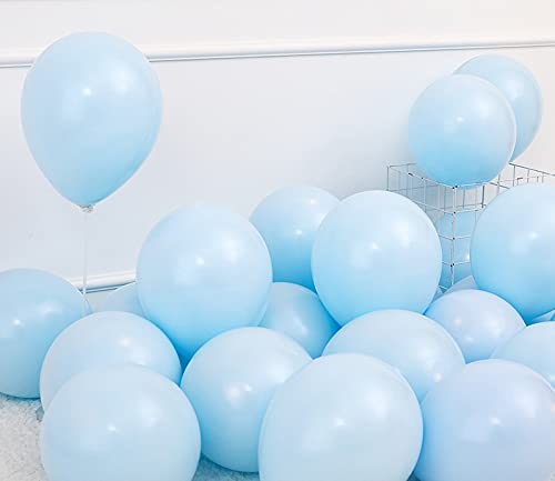 Party Port 12 inch HD Metallic Finish Balloons for Birthday/Anniversary Party Decoration (Pack of 25) (Pastel Blue)