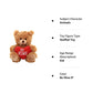 Plushland Stuffed Mocha Heart Bear - Plush Bear Toy For Kids & Adults - Embroidered Heart Pillow - Brown-9 Inches (Be Mine 9'')