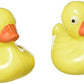 Rhode Island Novelty 2.5' Plastic Duck Matching Game