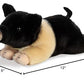 Aurora® Realistic Miyoni® Hampshire Pig Stuffed Animal - Lifelike Detail - Cherished Companionship - Black 12 Inches