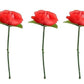 Sndperiexam 5Pcs Red Folding Rose/Rose Appearing Magic Tricks Flower Appearing Close Up Stage Street Magic