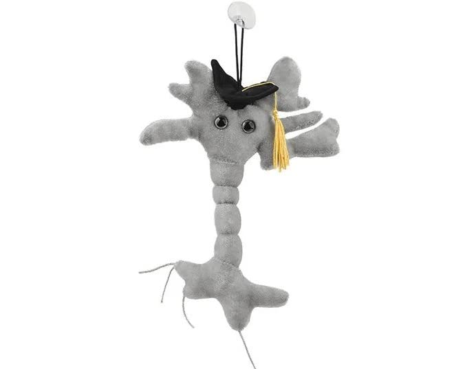 GIANTmicrobes Graduation Brain Cell Plush  graduation plush 2025  graduation stuffed animal 2025  graduation gifts class of 2025  nurse graduation gift  medical school graduation gifts-New