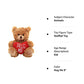 Plushland Stuffed Mocha Heart Bear - Plush Bear Toy For Kids & Adults - Embroidered Heart Pillow - Brown- 9 Inches (Hug Me 9'')