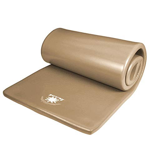 Pool Mate Large Foam Pool Float, Bronze