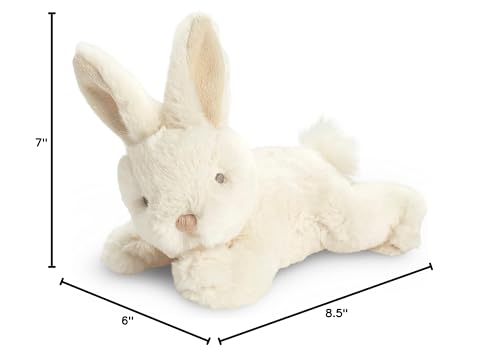 Snuggly Bunny Plush – An Adorable Stuffed Rabbit, Companion To The Children'S Illustrated Book You Belong Here, 8.5 Inches
