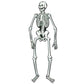 Jointed Skeletons - 22