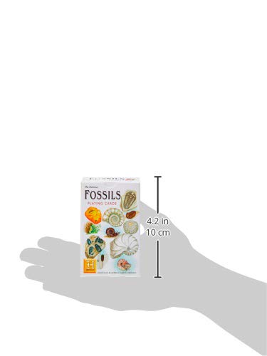 Fossils Set Of 52 Playing Cards + Jokers (Hpc)