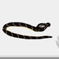 Wild Republic Hooded Cobra Plush Snake Toy, 54" Multi Fabric Stuffed Animal, Model 20730