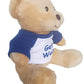 Hug-A-Booboo Get Well Small Plush Teddy Bear - Super Cute 6 Inch Plush Teddy Bear With Get Well Message T-Shirt - Great For Gift, Gift Basket, Party Favors