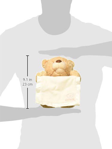GUND Peek-A-Boo Teddy Bear Plush - Animated Stuffed Animal for Babies, 11.5", Multicolor, High Quality Materials, Model 6053525