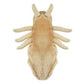 GIANT MICROBES Louse Plush Toy - 7" Tan Educational Gift for Lice Awareness, Ideal for Families and Insect Lovers