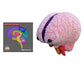 Giantmicrobes Brain Model, Human Brain Anatomy Model, Brain Model For Kids, Brain Model For Neuroscience, Brain Model For Teaching, Brain Model For Psychology, 3D Brain Model, Brain Anatomy Toy
