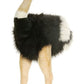 Hansa - Male Ostrich 3268