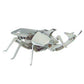 Owi Rhino Beetle