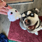 Ghost Keychain Learn to Crochet Kit