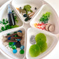 Pond Life Cycle Sensory Kit And Water Play