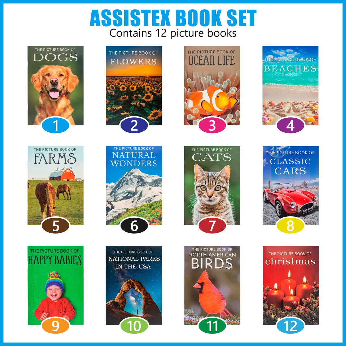 Picture Book Set for Seniors with Dementia - Alzheimer's Activity for Adults - for Patients in Nursing Home - Gifts for Elderly - Memory Care Games - Stroke Rehab - Brain Exercise - Parkinson Product