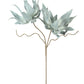Botanica #2547
