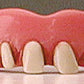 Billy-Bob Teeth - Assorted Styles