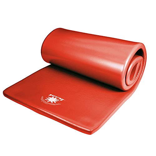 TRC Recreation Pool Mate Large Foam Pool Float - Coral, Model 8030048C
