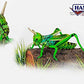 Hansa True-To-Life Grasshopper In Green