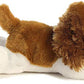 Aurora® Adorable Mini Flopsie™ Charles™ Stuffed Animal - Playful Ease - Timeless Companions - Brown 8 Inches