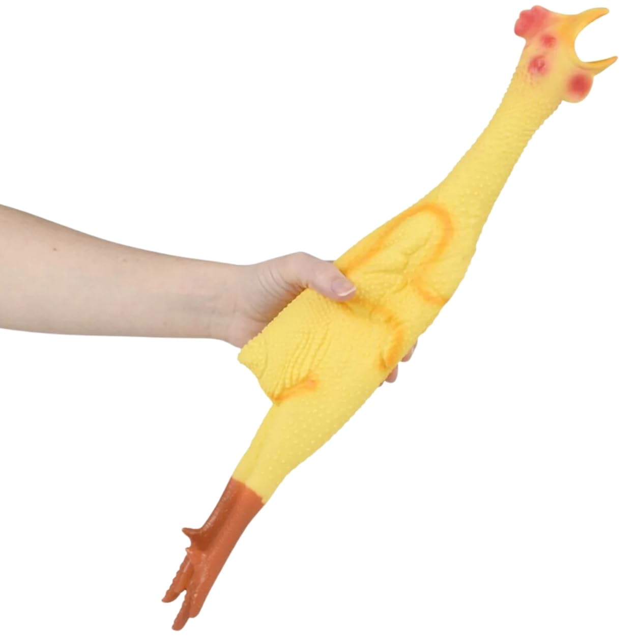 Rhode Island Novelty 20'' Rubber Chicken