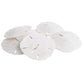 Sand Dollar | Real Sand Dollars 3 to 3 1/2 (Set of 6) | Sand Dollar Shells | Plus Free Nautical eBook by Joseph Rains