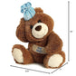 Aurora Snuggly Get Well Bear Stuffed Animal - Comforting Companion - Imaginative Play - Brown 12 Inches