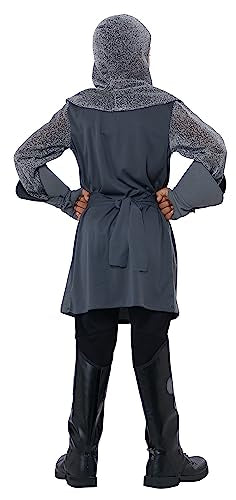 California Costumes Kid'S Valiant Knight Costume X-Small (4-6) Gray
