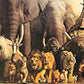Fine Art Panoramic Noah'S Ark 1000 Pieces