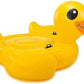 Intex Intexa      ??A   Duck 147 X 147 X 81